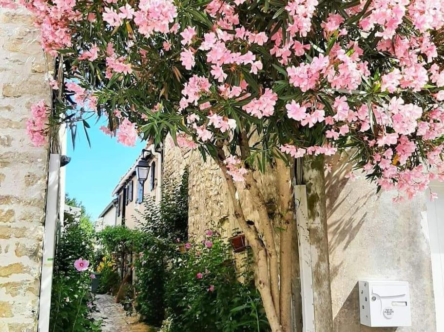 Délicieux moment de détente au coeur de Saint Martin de Ré Exterior foto